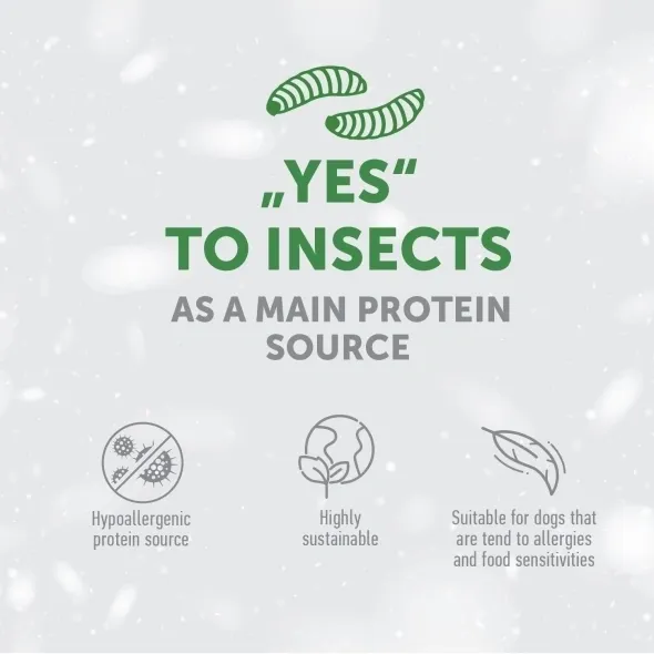 Premium hypoallergenic dog treats with insect & rice protein, supporting bone and joint health, stamina, and immunity