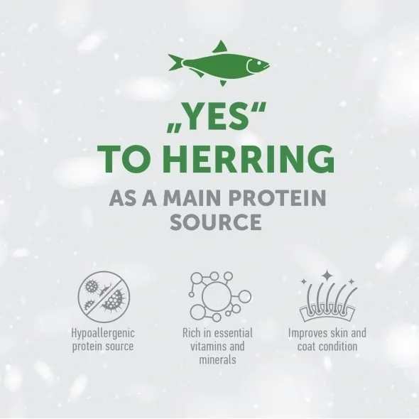 Premium grain free dog snacks with herring, supporting immunity, digestion, and coat health