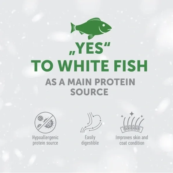 High-quality hypoallergenic dental sticks with white fish, supporting teeth, gums, and overall oral health
