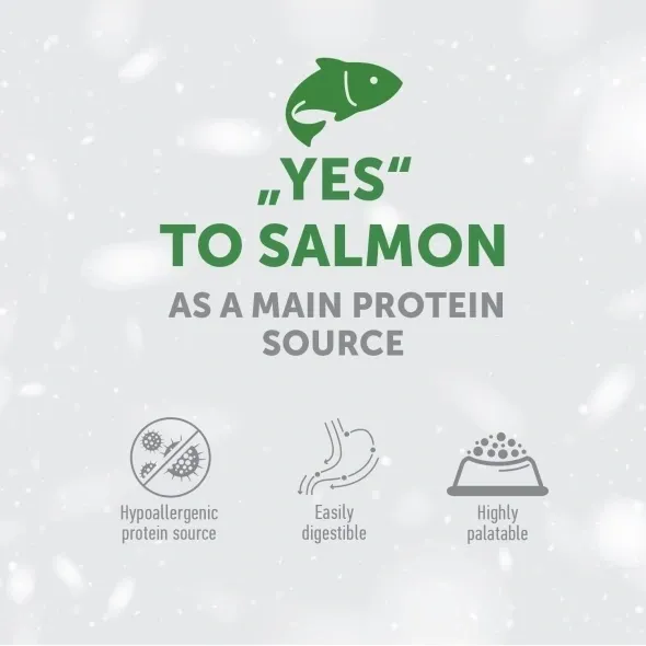 Hypoallergenic salmon dog chews for adults, aiding digestion and maintaining healthy skin & coat