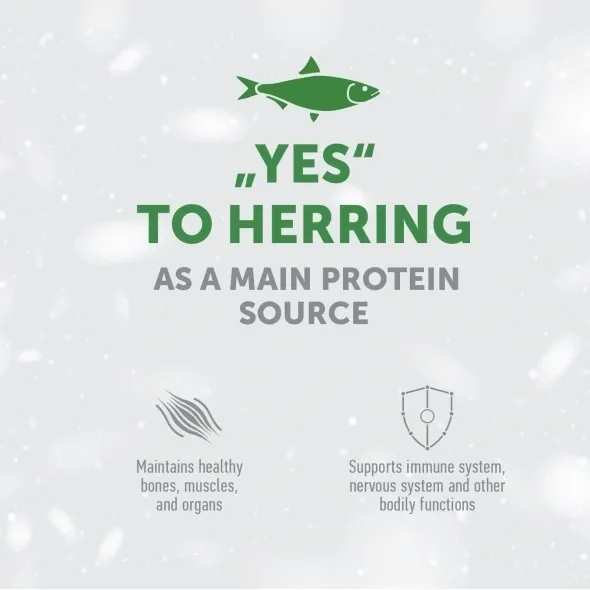 Herring snacks for adult dogs, supporting weight control, skin, and coat health