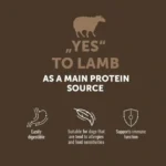 Grain free dry dog food with lamb for adult dogs, promoting skin, coat, and digestion support