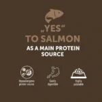 Adult dog food, grain free, hypoallergenic, supporting healthy digestion, skin, and coat