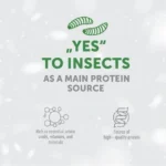 Hypoallergenic insect & rice dog snacks supporting endurance, bones, and joints