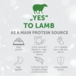 Lamb dog food for adult white dogs, promoting healthy skin, white coat, and digestive wellness