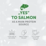 Grain-free hypoallergenic salmon dog treats for adult dogs, promoting healthy skin, shiny coat, and digestive care