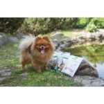 NATURE'S PROTECTION SUPERIOR CARE snacks for dogs rabbit heart bites 75 g - Image 2