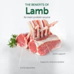 Grain free dog treats with lamb, supporting skin and coat health, digestion, and joint wellness in adult dogs