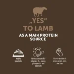 Adult dog food, grain free, hypoallergenic, supporting healthy digestion, skin, and coat