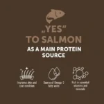 Dry dog food with salmon, grain free, supporting adult dog digestion and skin health