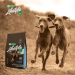 Dry dog food with white fish, grain free, supporting adult dog digestion and skin health