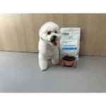 Veterinary diet hypoallergenic dog food with single-source insect protein, minimizing protein intolerance and allergy symptoms