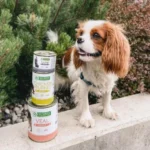Grain free wet dog food with chicken and turkey for adult dogs