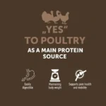 Dry dog food with poultry, grain free, supporting adult dog digestion and skin health