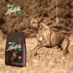 High-quality hypoallergenic dog food with lamb, promoting digestion, coat, and skin health