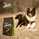 High-quality hypoallergenic dog food with poultry, promoting digestion, coat, and skin health