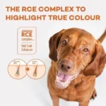Wheat free salmon & krill puppy food supporting coat health, skin, and overall growth